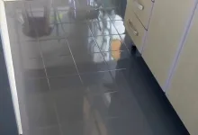 Diferença Entre Pintura Epóxi E Autonivelante